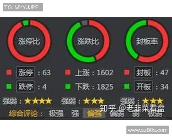 广州与深圳排球队赛后技术分析与战术复盘探讨 广州与深圳排球队赛后技术分析与战术复盘探讨